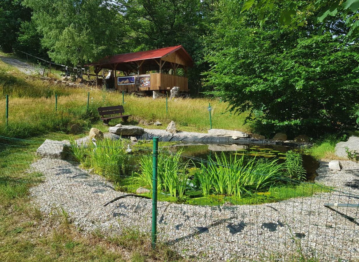 Trzy Kultury Zloty Widok
